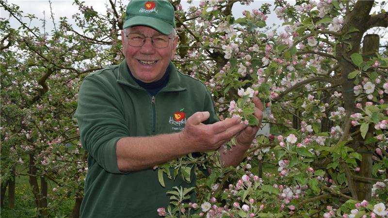 Hein Lühs, Seniorchef des Herzapfelhofs Lühs in Jork, bereitet die Blüte an den Apfelbäumen der Sorte Red Jona Prince sichtlich Freude.