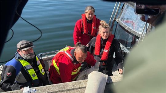 Helfer besteigen ein Boot, um zum Wal hinauszufahren. 
