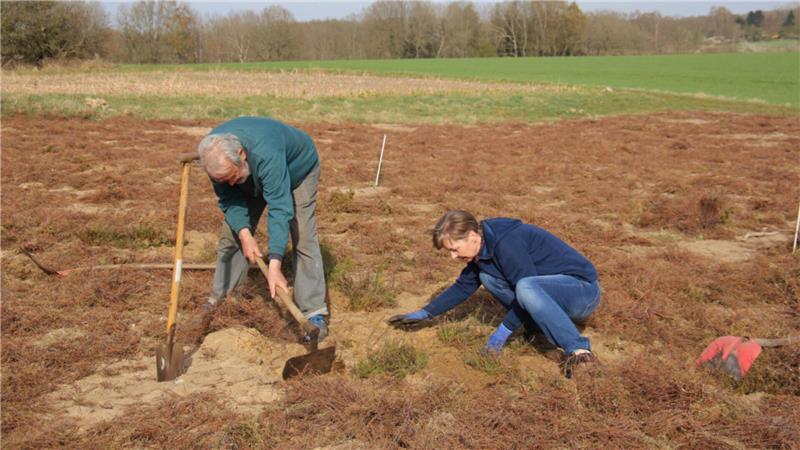 Helfer der Arbeitsgruppe machten im Frühjahr den Ackerboden bereit zur Heide-Aussaat.