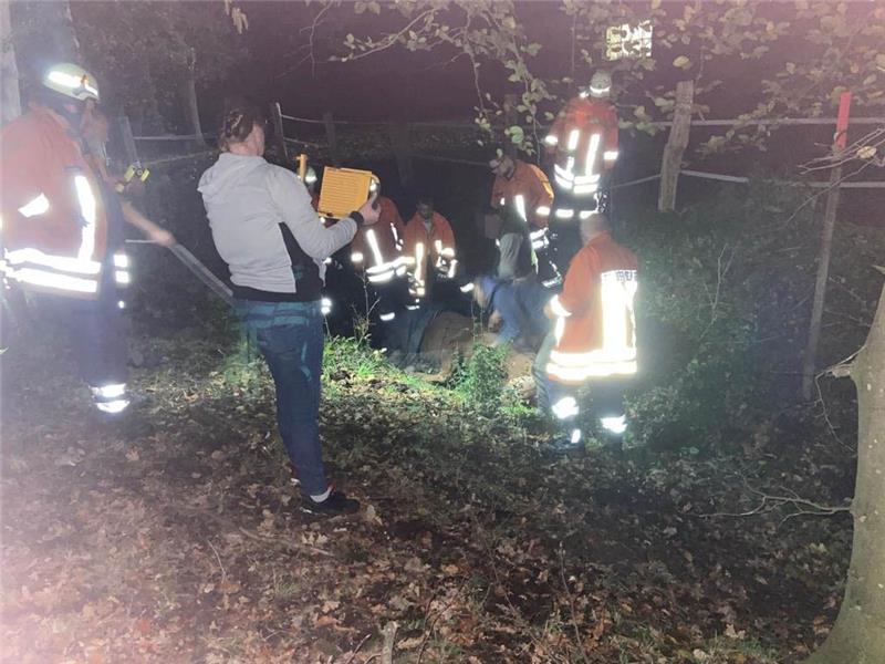 Helfer versuchen das Pferd aus dem Graben zu ziehen. Foto: Feuerwehr