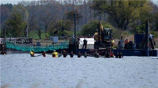 Helfer versuchen den gestrandeten Wal aus dem flachen Wasser zu einem Transportschiff zu ziehen, das in der Fahrrinne wartet.
