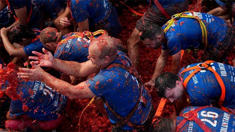 Austoben bei der Tomatenschlacht in Spanien Helfer werfen die überreifen und weichen Tomaten von langsam durch die Innenstadt fahrenden Lastwagen in die Menschenmenge. Danach kippen die Lastwagen den Rest der rund 150 Tonnen roter Früchte ab und die Teilnehmer der „La Tomatina“ stürzen sich darauf, um sich mit neuen Wurfgeschossen zu versorgen.