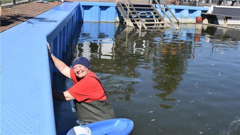 Was zum Saisonstart im Naturbad Krummendeich neu ist Helferin Sonja Goller streicht die Wände der Kuhle.