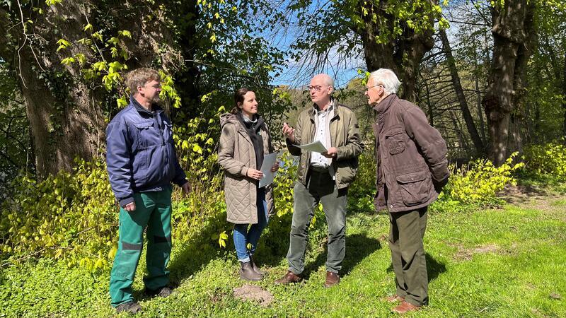 Henning Brümmel, Gesa Gerken, Jörn Freyenhagen und Dr. Peter Brümmel bei der Generalprobe für das literarische Waldbaden im Dichterwald auf Gut Daudieck (von links).