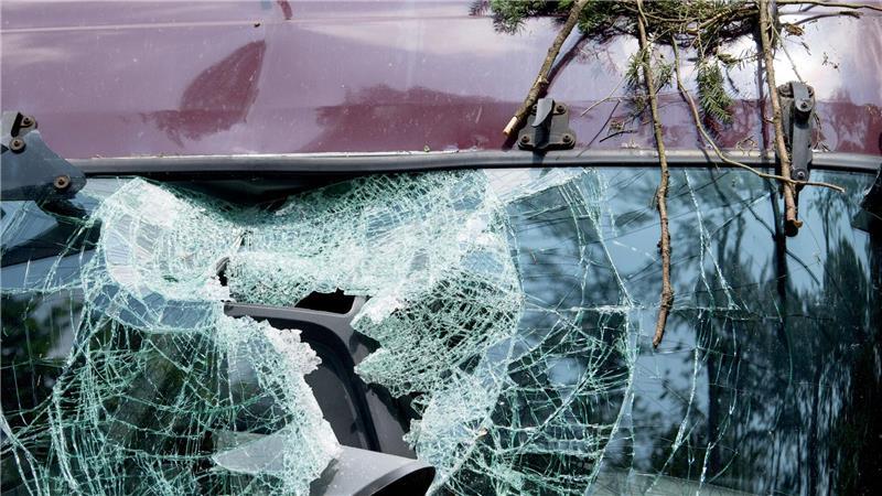 Herabfallende Äste können ein parkendes Auto schwer beschädigen.