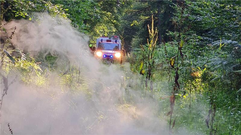 Herausforderung für die Feuerwehr war der beengte Zugang zur Brandstelle im Braken.