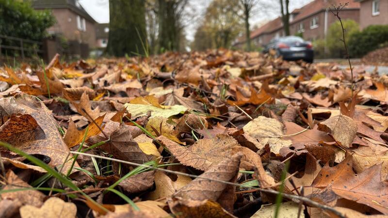 Laub im Landkreis Stade: Die Kehrseite des Herbstes Herbstlaub auf öffentlichen Flächen wird von der jeweiligen Stadt oder Kommune entfernt.