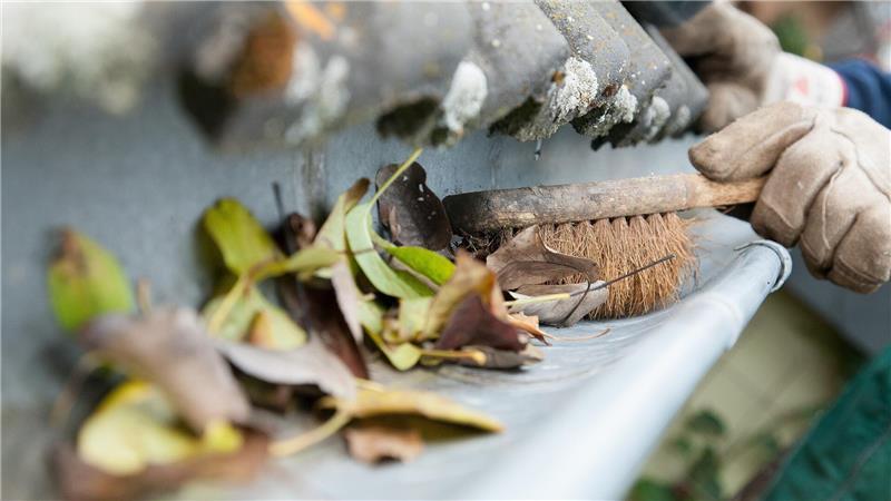 Herbstlaub kann Regenrinnen verstopfen: Eine regelmäßige Kontrolle und Reinigung sind wichtig.