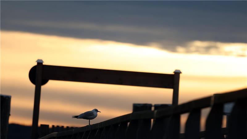 Herbstlicher Sonnenaufgang am Ammersee