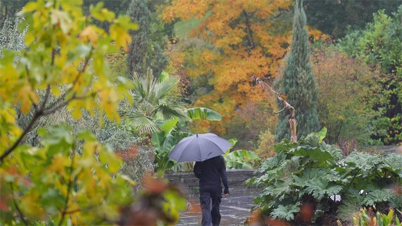 Herbstspaziergang