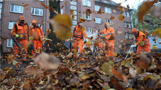 Herbstzeit ist Laubzeit. Das wissen auch die Mitarbeitenden der Hamburger Stadtreinigung.