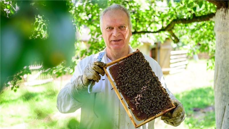 Trend Imkern: „Man darf den Zeitaufwand nicht unterschätzen“ Hermann Benesch, Vorsitzender des Imkervereins am Kiekeberg e.V., hält auf dem Museumsgelände einen Rahmen mit Bienenwaben in den Händen.