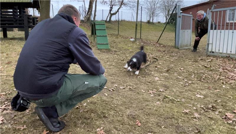 Herrchen und Welpe beim Üben auf dem Bliedersdorfer Vereinsgelände.
