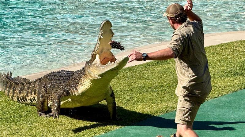 Crikey! Wie der „Crocodile Hunter“ unsterblich wurde Heute führen Ranger die berühmte Krokodilshow im Australia Zoo vor - und geben Tipps zum Umgang mit den Reptilien.