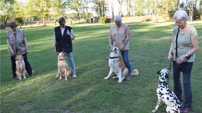 Heute wird von den Hunden erwartet, dass sie ihren Menschen zugewandt sind. Das lernen sie bei den Hundefreunden Rotenburg/Scheeßel. 