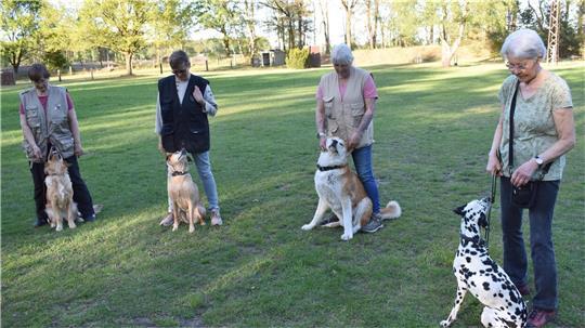 Heute wird von den Hunden erwartet, dass sie ihren Menschen zugewandt sind. Das lernen sie bei den Hundefreunden Rotenburg/Scheeßel. 