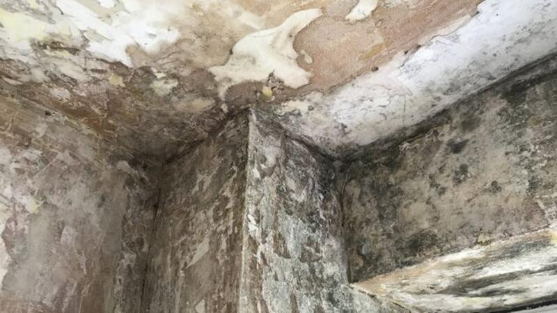 Verzweifeltes Ehepaar haust in Schimmelwohnung - und der Vermieter ist insolvent Hier dürften keine Menschen mehr wohnen, aber die Mail und Anrufe der Eheleute verhallten ungehört.