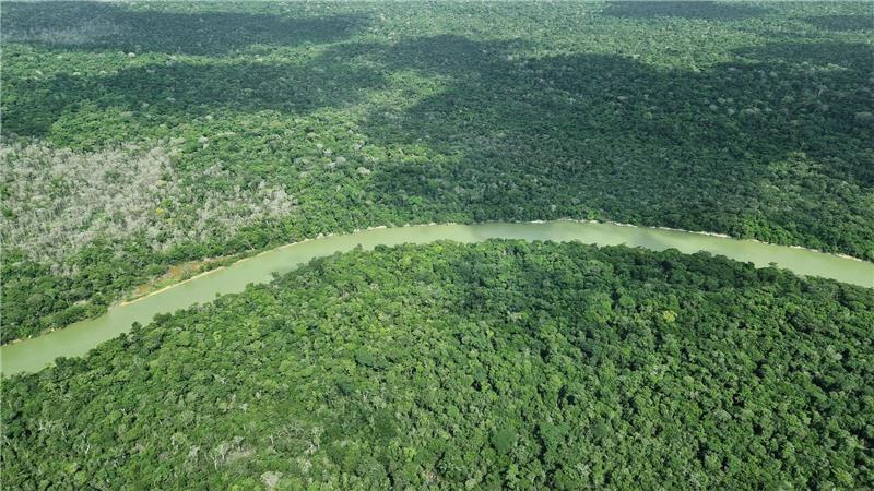 Hier ist der Wald intakt – doch an vielen Stellen ist er schon verloren.
