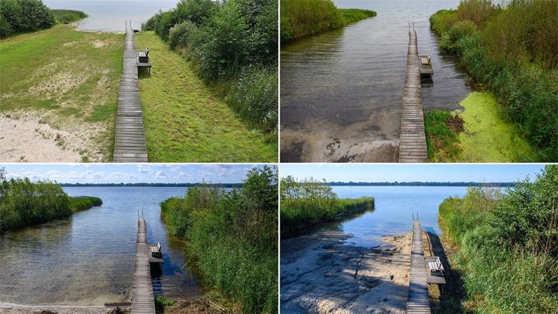 Deutschland 2026: Wie unser Land in der Klimakrise aussieht Hier ist eine Badestelle am Ufer des Arendsees in der Altmark zu sehen - im Jahr 2023 (oben links), 2024 (oben rechts), 2025 (unten links) und 2026 (unten rechts).