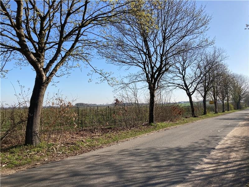 Gemeinde Bliedersdorf stellt die Weichen Hier könnte – so der Wunsch der Mehrheit im Rat – mittel- und langfristig ein neues Wohngebiet an der Nottensdorfer Straße entstehen. Foto: Vasel