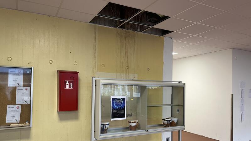 Hier läuft in der IGS Buxtehude das Wasser an der Wand herunter. Die dafür verantwortlichen Löcher im Dach konnten wohl noch nicht geflickt werden.