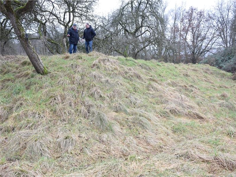 Hier standen die Kanonen: Dietrich Alsdorf (links) und Dr. Andreas Schäfer auf der gut erhaltenen Wallanlage der Schanze Perlberg . Foto: Strüning