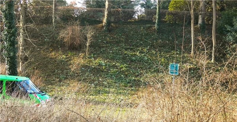 Deswegen kappt die Stadt Stade die Brombeeren so stark Hier standen einst Brombeerhecken. Die Stadt legte Hand an. Foto: Paulin