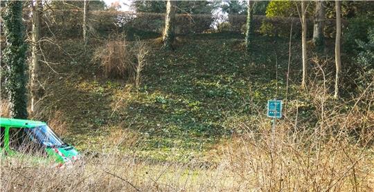 Hier standen einst Brombeerhecken. Die Stadt legte Hand an. Foto: Paulin