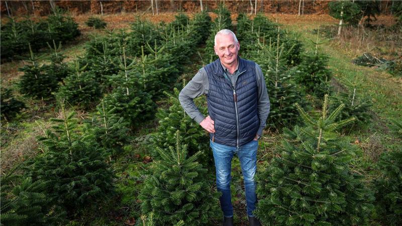 Produzent: Kunden kaufen Weihnachtsbaum früher Hier wachsen die Weihnachtsbäume für die kommenden Jahre.