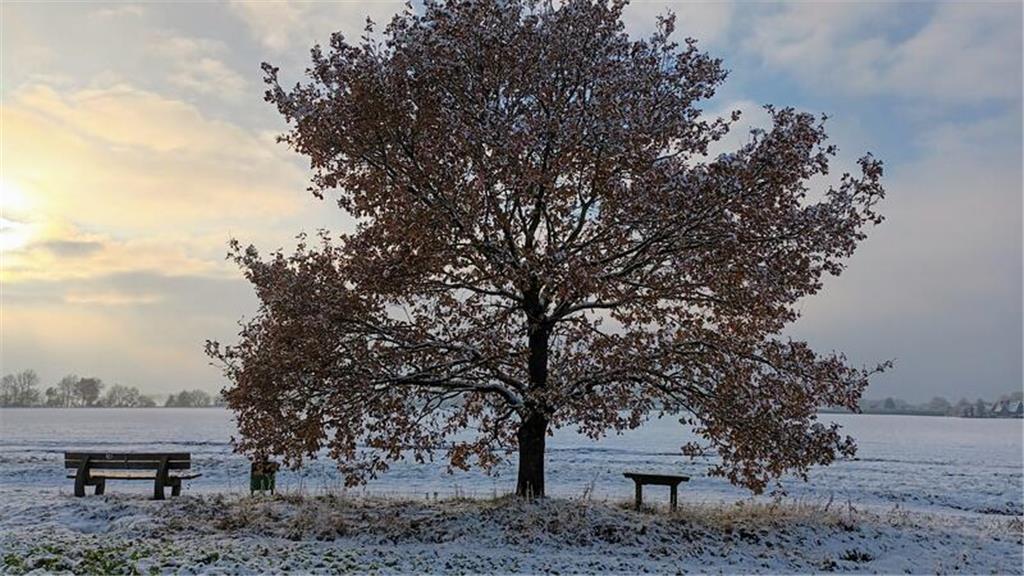 Hilke Klingschat hielt ihren Lieblingsplatz ihrer Walking-Runde in Apensen fest.