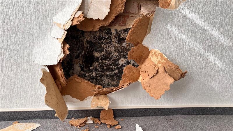 Hinter der aufgerissenen Tapete ist die schwarz angemalte Mauer zu erkennen. Gedämmt wurde hier nicht.