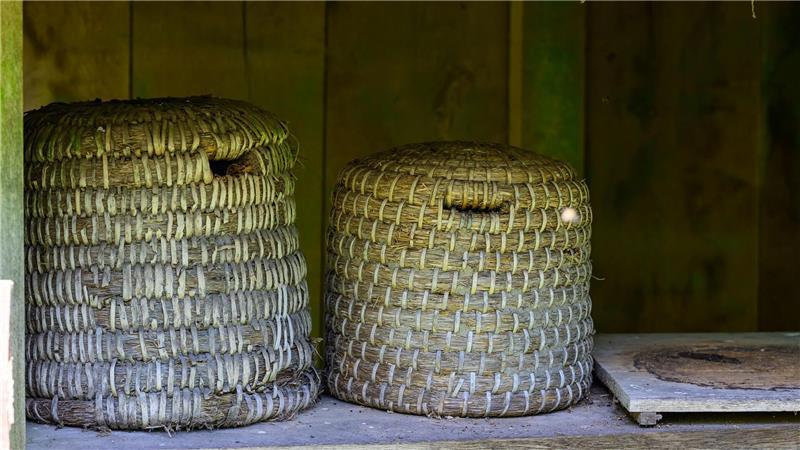 Trend Imkern: „Man darf den Zeitaufwand nicht unterschätzen“ Historische Bienenstöcke stehen auf dem Gelände vom Freilichtmuseum am Kiekeberg. Das eigene Gemüse züchten und ein Bienenvolk halten, liegt im Trend - immer mehr Menschen imkern.