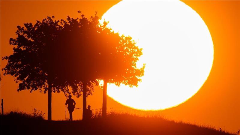 Wie können Städte Hitze trotzen? Diese machen es vor Hitze in Deutschland: Tage mit extremer Belastung werden häufiger.