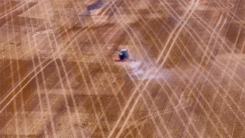 Hitze und Trockenheit hinterlassen deutliche Spuren in der Landwirtschaft.