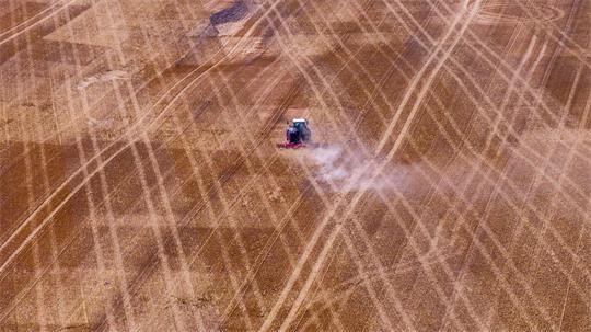 Hitze und Trockenheit hinterlassen deutliche Spuren in der Landwirtschaft.