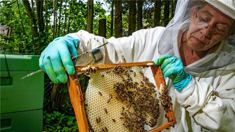 Hobbyimkerin entsetzt nach Massensterben ihrer Bienen - Wurden die Insekten vergiftet? Hobbyimkerin Carmen Gürster ist entsetzt über Tier-Drama.
