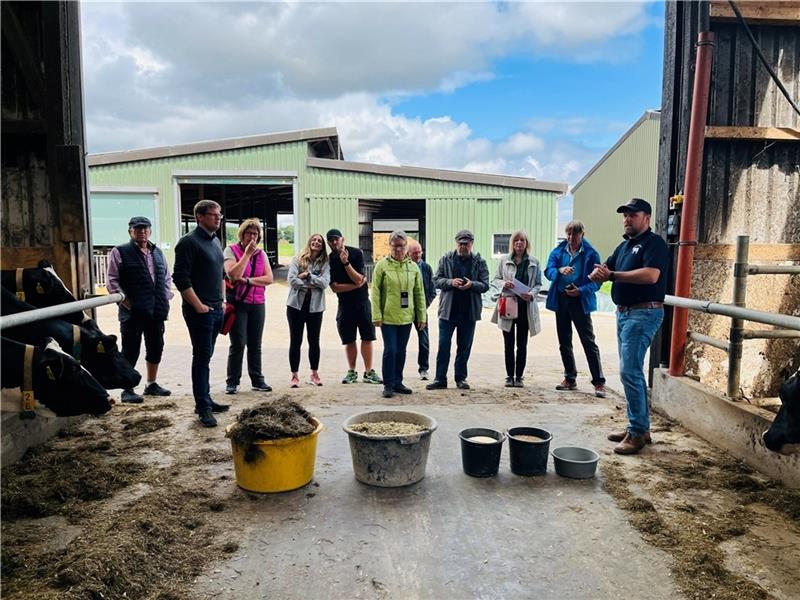 Höfe laden interessierte Verbraucher zum Dialog in den Stall. Foto: Landvolk