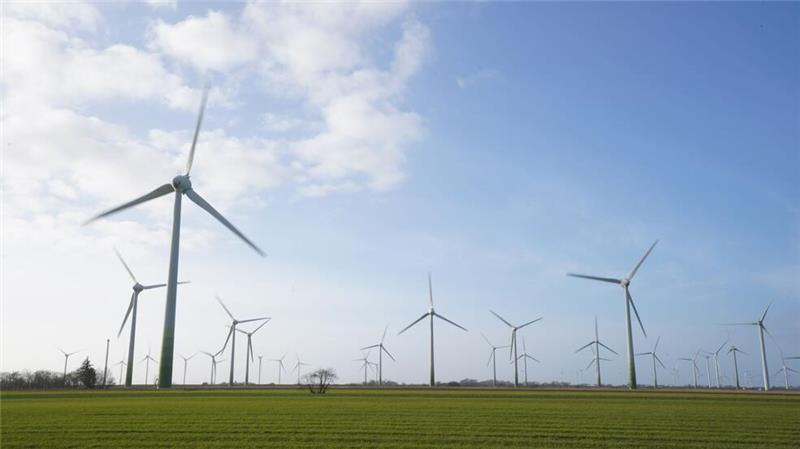 Windenergieanlagen stehen auf einem Feld.