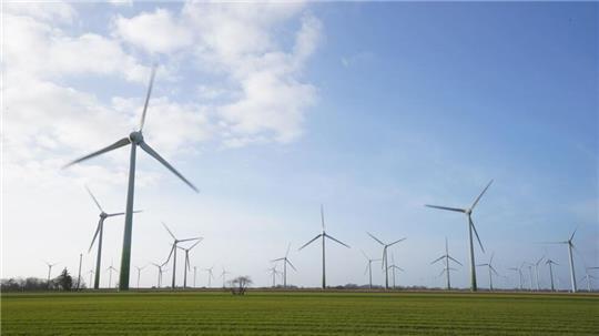 Windenergieanlagen stehen auf einem Feld.