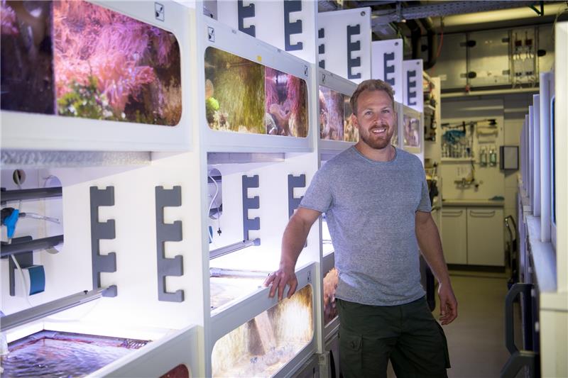 Holger Kühnhold, Meeresbiologe, steht zwischen den Aquarien im Leibniz-Zentrum für Marine Tropenforschung (ZMT). Foto: Sina Schuldt/dpa