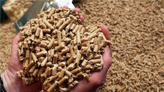 Holzpelletkäufer müssen bei Käufen im aufpassen. So können Sie sich vor Kriminellen schützen (Symbolbild).