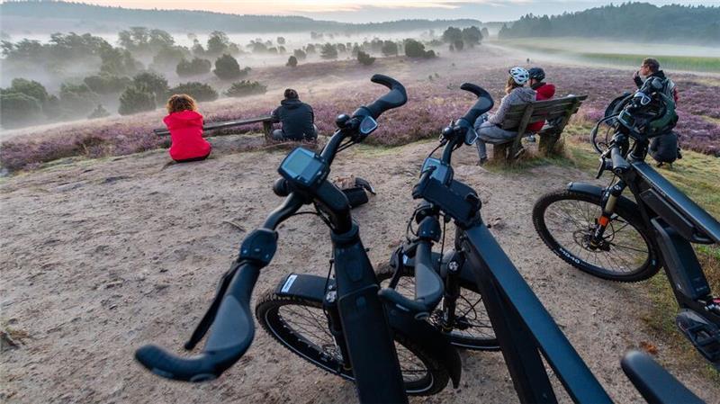 Hotels und Pensionen in der Lüneburger Heide sind in den Herbstferien wie in den Vorjahren fast ausgebucht - vor allem Radwanderer sind in der Region unterwegs. (Archivbild)