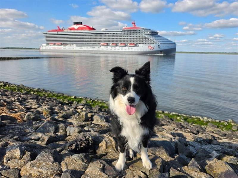 TAGEBLATT-Leser halten besondere Kreuzfahrt-Premiere fest Hund „Snickers“ und Friederike Pohndorf begrüßen die „Valiant Lady“ am Lühe-Anleger.
