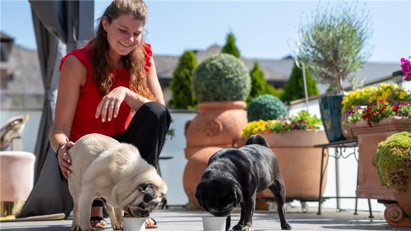 Wenn Eisdielen auf den Hund kommen Hundebesitzer kaufen sich oft selbst ein Eis. (Archivbild)