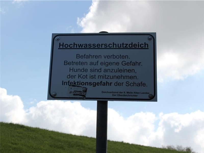 Schafe sind wichtige Deichschützer Hundebesitzer nehmen die Warnschilder am Deich oft nicht ernst genug, bemängelt der Oberdeichrichter. Aber Hundekot kann bei Schafen Krankheiten und sogar Fehlgeburten auslösen.
