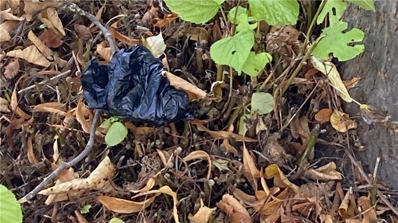 Nach Vandalismus in Stade: Sieben Gebote der Pietät auf dem Friedhof Hundekotbeutel werden immer wieder einfach ins Gebüsch geworfen.