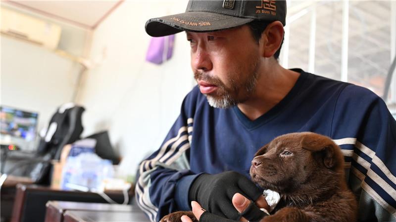 Hunderetter Huzi verarztet einen Welpen, der sich beim Spielen verletzt hat. 