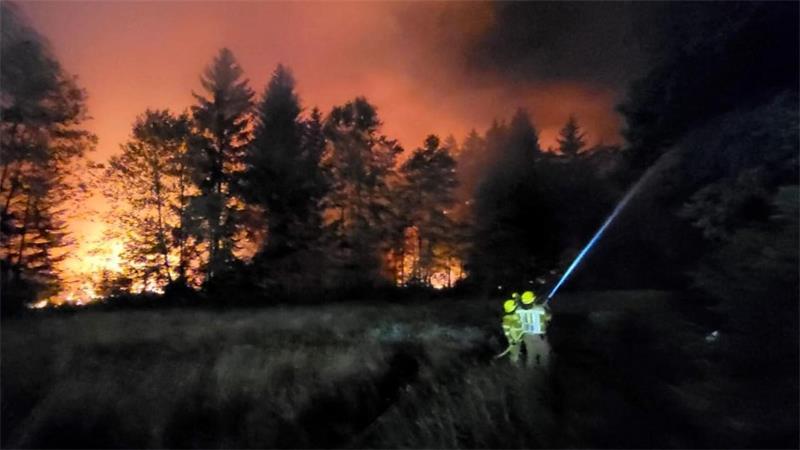 Löschroboter und Drohnen gegen Waldbrände im Einsatz Hunderte Feuerwehrleute waren im Einsatz.