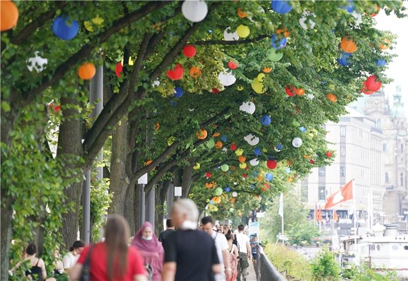 Hunderte Lampions hängen in den Bäumen an der Binnenalster in der Innenstadt. Foto: Brandt/dpa