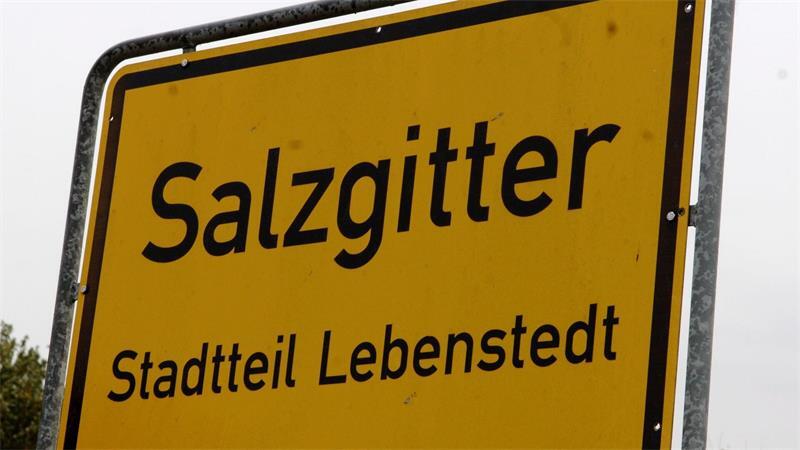 Hunderte Menschen demonstrieren gegen die AfD. (Archivbild)